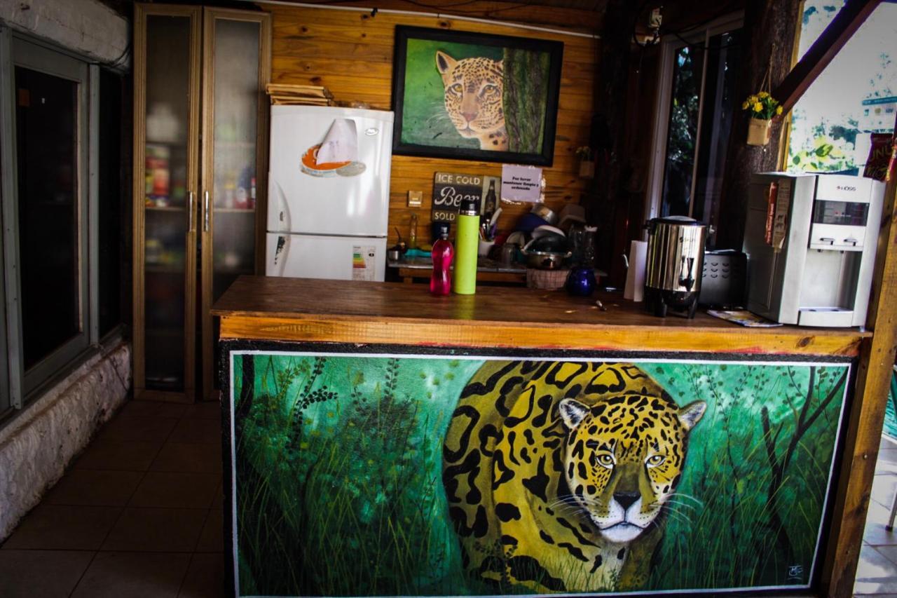 Hostel Krieger Hauss Puerto Iguazú Zewnętrze zdjęcie